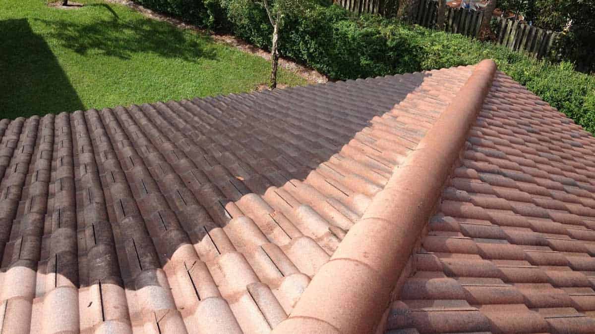 Expert Roof Cleaning Services