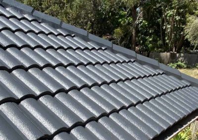 New Charcoal Roof Paint
