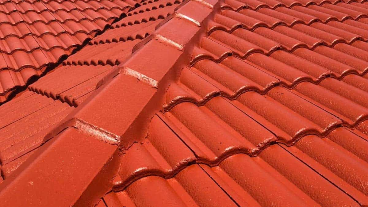 Roof Painting Services