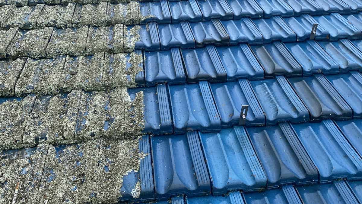 Roof Cleaning Moss Removal