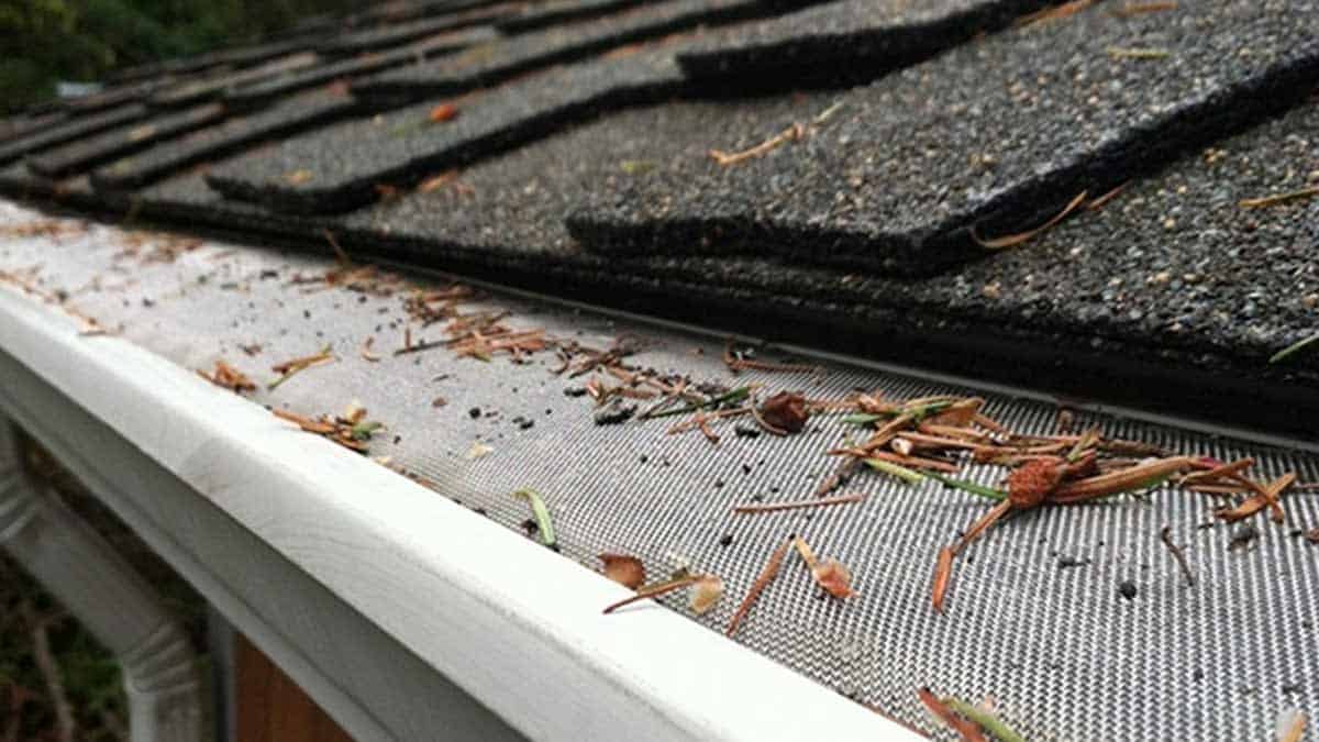 Expert Leaf Guard Services