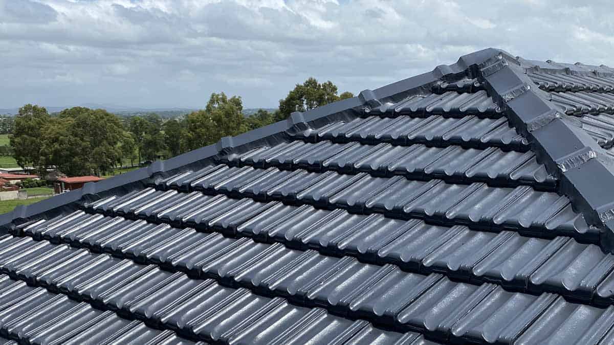 New Roof Paint