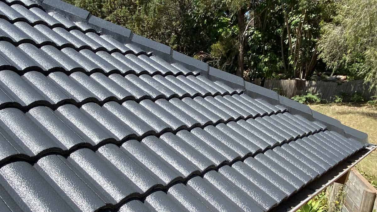 Roof Painting Services